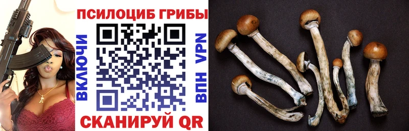 Псилоцибиновые грибы ЛСД  Медногорск 